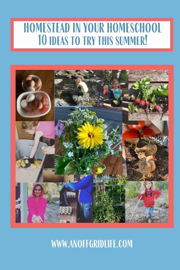 Summer Homestead in Your Homeschool