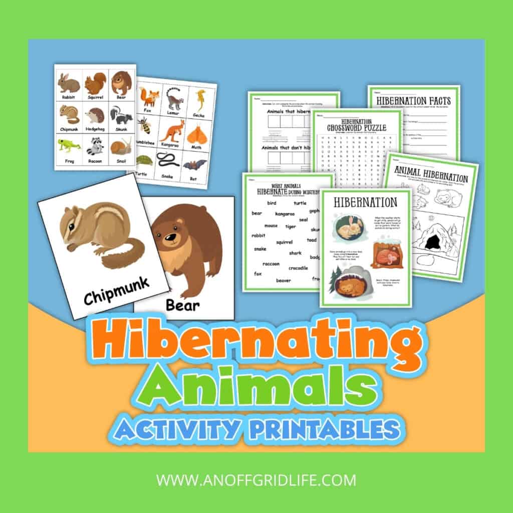 Hibernating Animals Activity & Printables