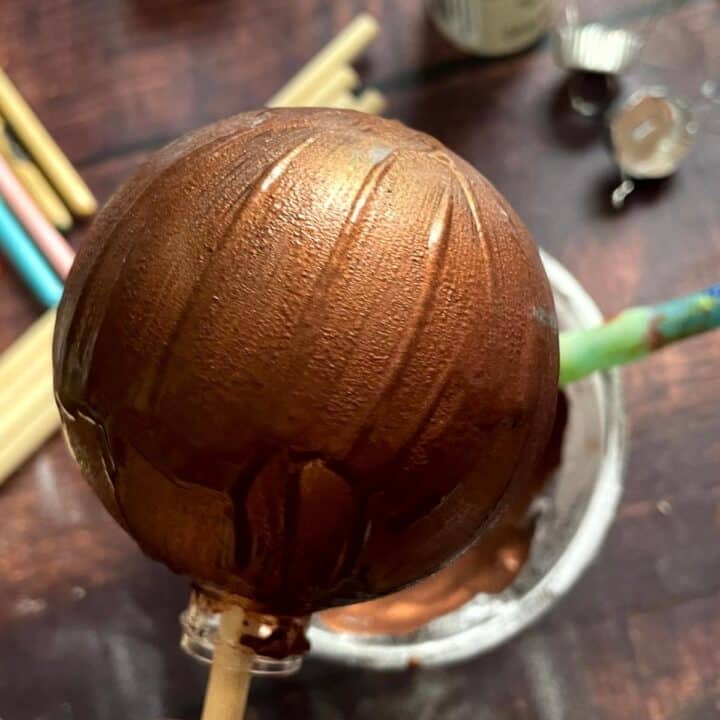 A person is holding a chocolate ball on a stick.