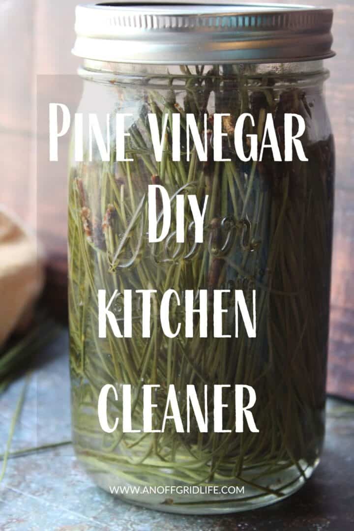 Pine Vinegar DIY Kitchen Cleaner Pin