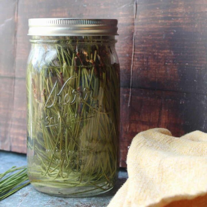 Pine Vinegar Kitchen Cleaner in Jar.