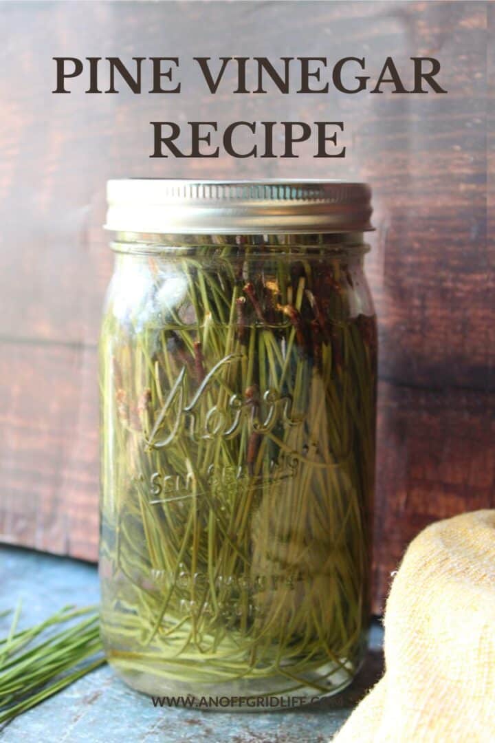 Pine Vinegar Recipe.