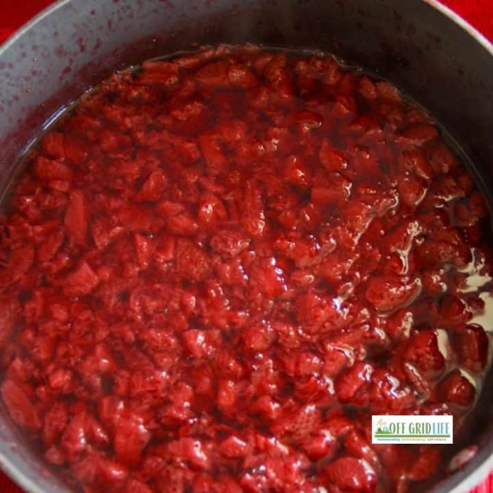 Fresh strawberries in pot to make strawberry syrup