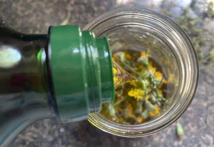 Pouring olive oil over dandelions.