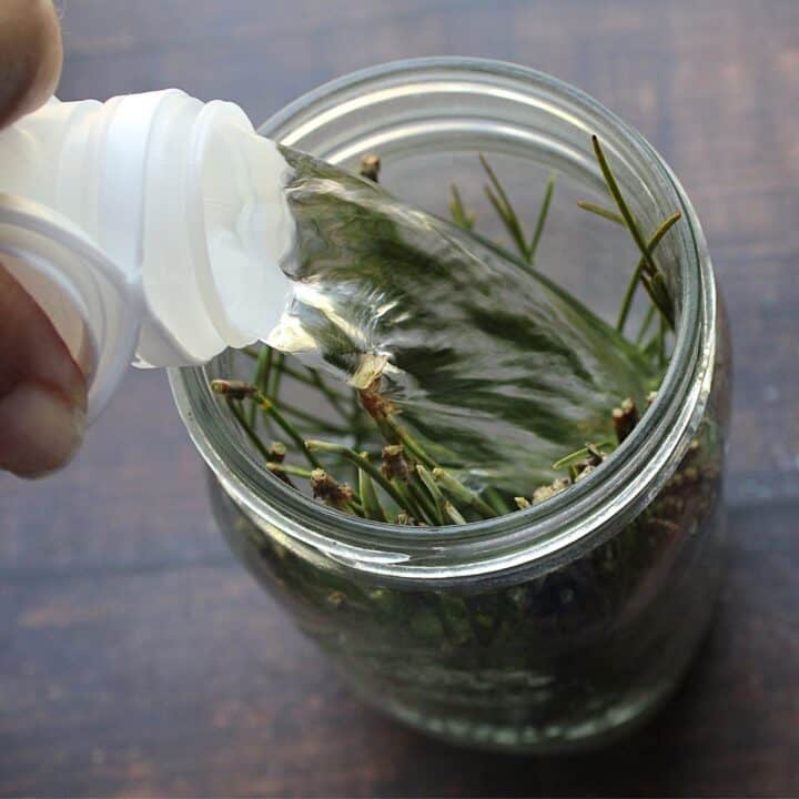 Pouring vinegar into mason jar with pine needles.