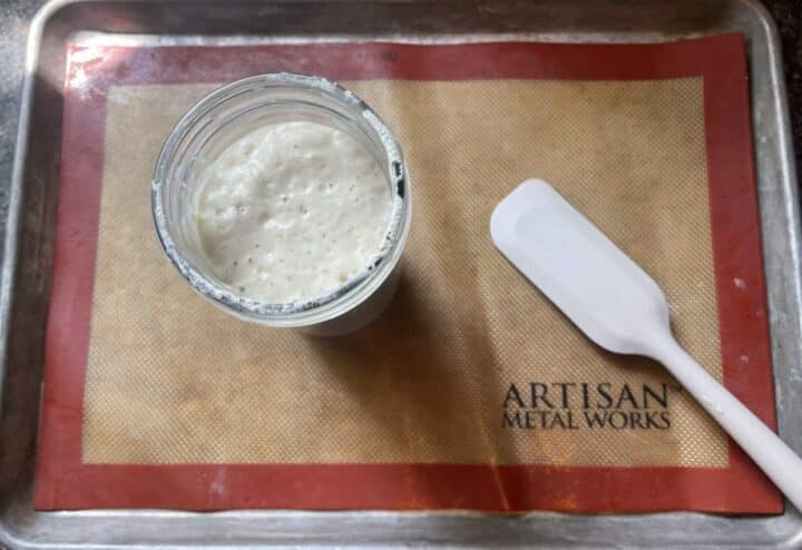 Prepping to dehydrate sourdough starter