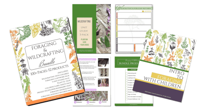 Intro to Foraging & Wildcrafting Bundle for Children