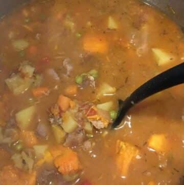 Ptarmigan spruce grouse stew in pot.