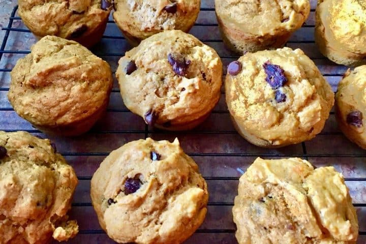 Freshly baked chocolate chip muffins cooling on a wire rack.