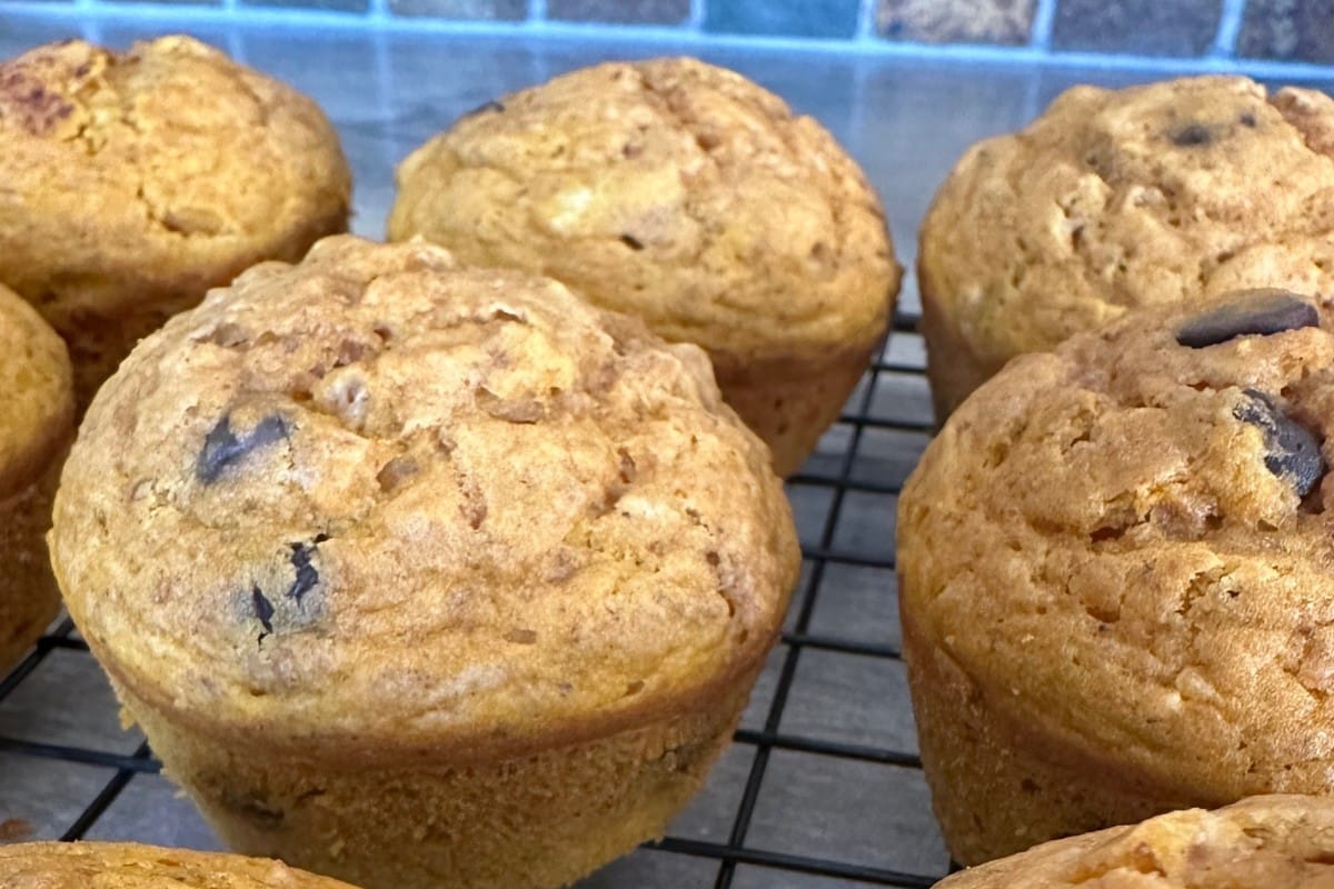 Freshly baked pumpkin chocolate chip muffins cooling on a wire rack.