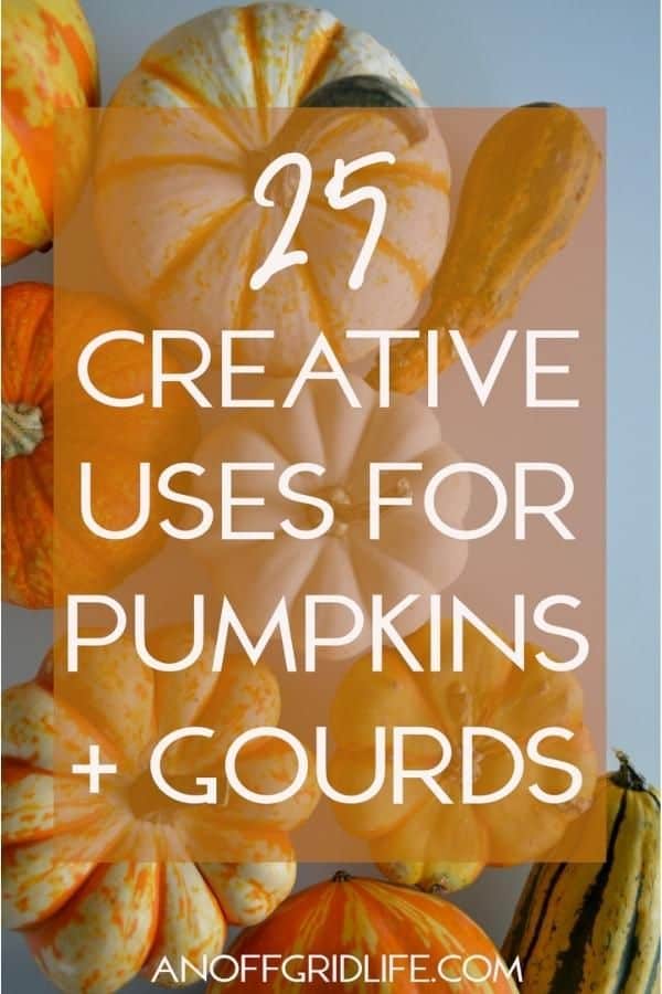 25+ Creative Uses for Pumpkins and Gourds text overlay on pic of pumpkins