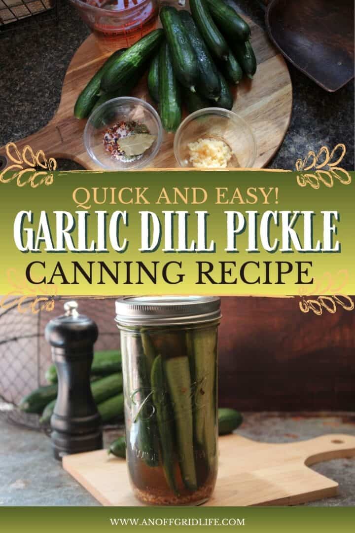 Quick and Easy Garlic Dill Pickle Canning Recipe