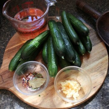 Quick and Easy Garlic Dill Pickle Canning Recipe