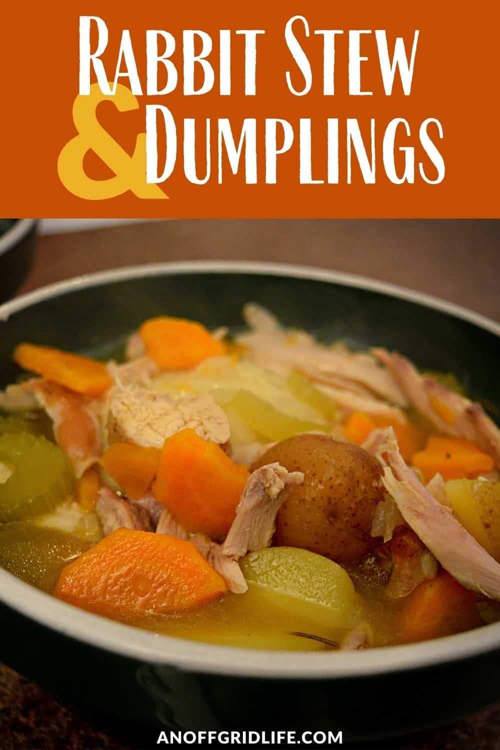 a pinterest image of a bowl of rabbit stew with text overlay "Rabbit stew and dumplings"