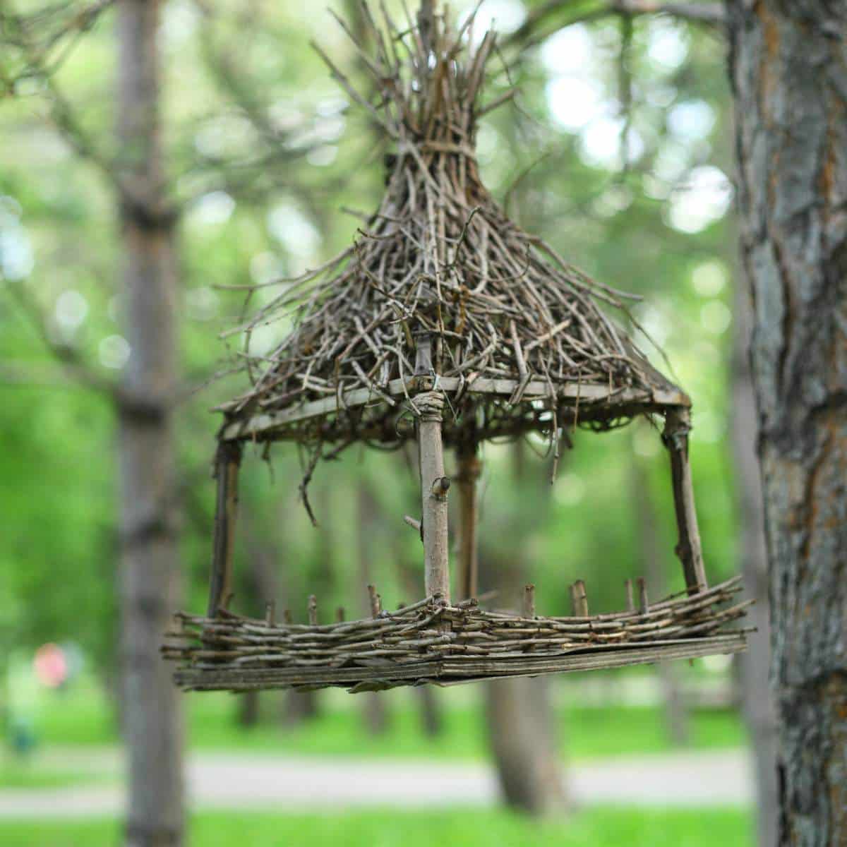 Handmade miniature twig bird feeder suspended between trees in a park.