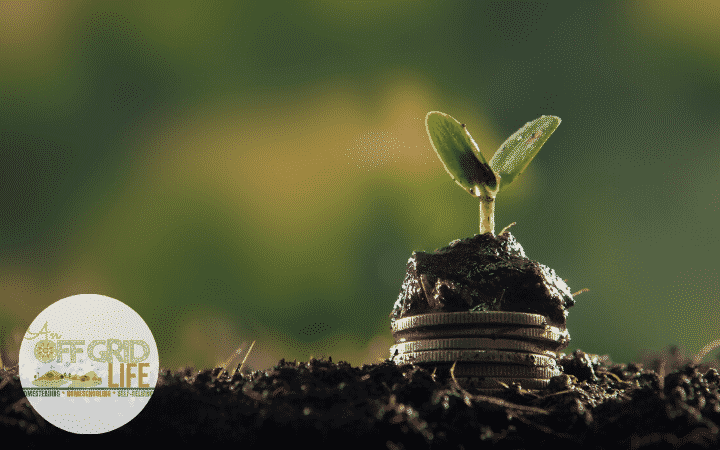 Small seed growing in a garden