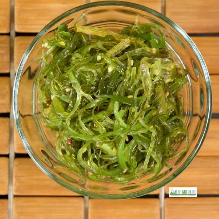 Seaweed in a glass dish for making seaweed fertilizer tea