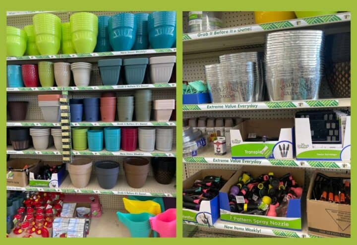 Seed Starting Supplies at Dollar Tree