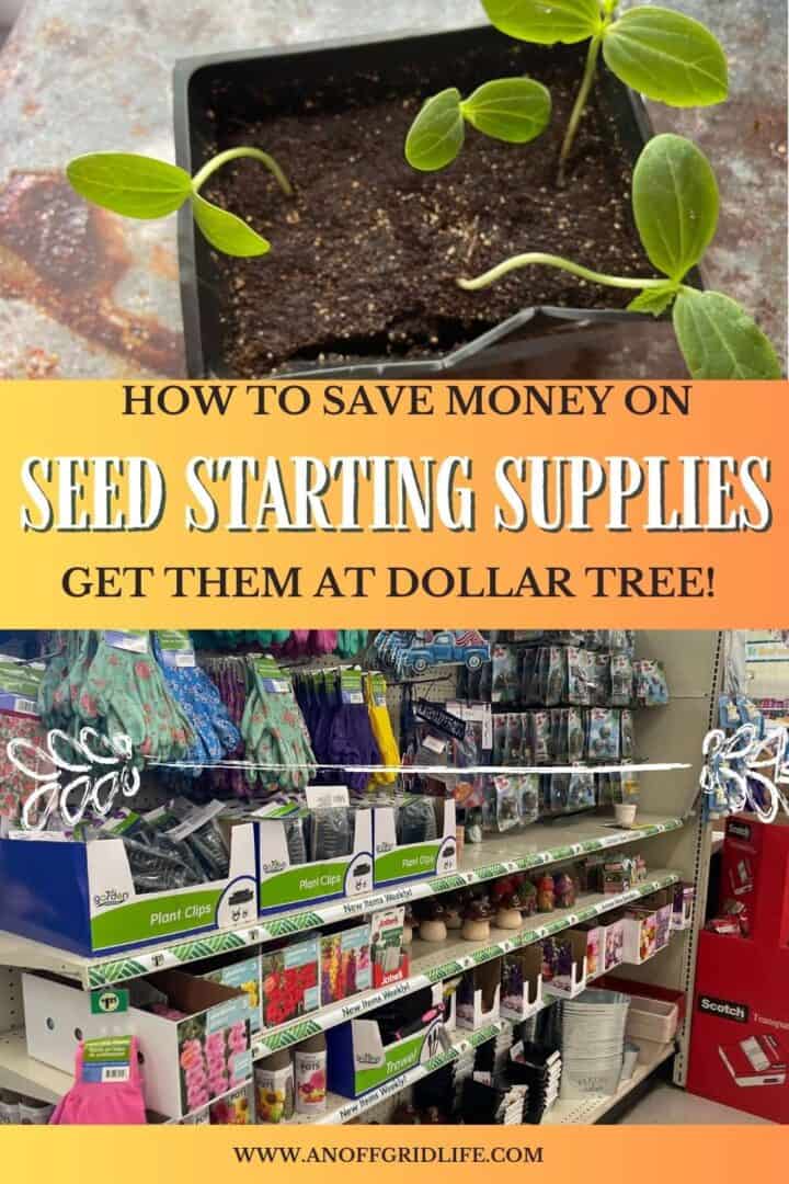 Seed Starting Supplies from Dollar Tree