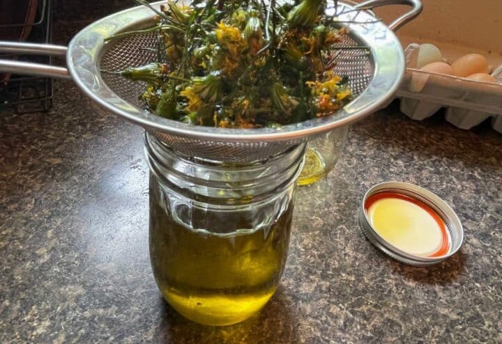 Side view of draining dandelion oil.