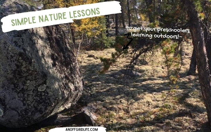 Simple Nature Lessons for Preschoolers