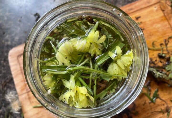 Soak dandelions in vodka.