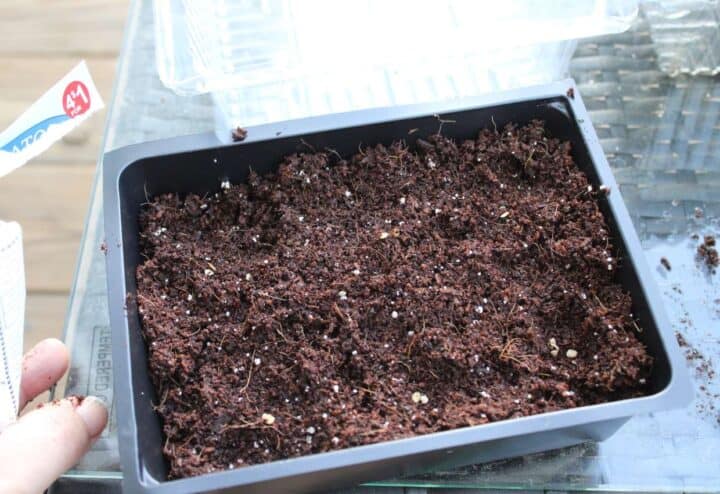 Starter soil mix in container