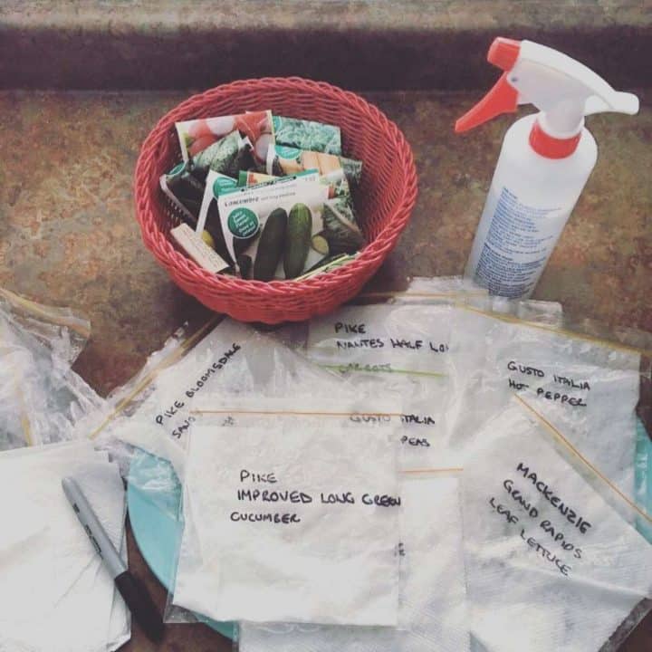 A basket of heirloom seeds and organic seeds and a spray bottle.