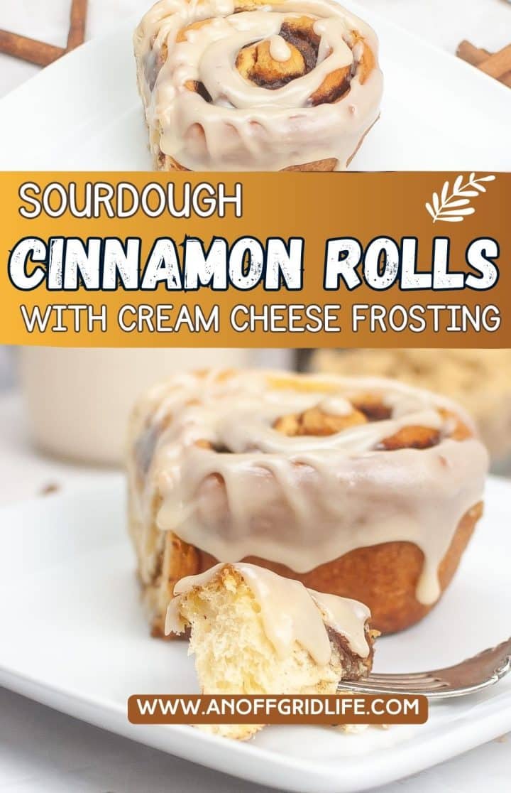 Close-up of a sourdough cinnamon roll with cream cheese frosting on a white plate. Text reads: "Sourdough Cinnamon Rolls with Cream Cheese Frosting.
