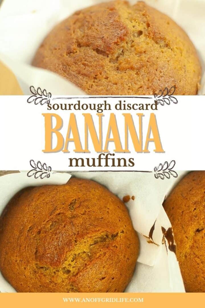 Sourdough Discard Banana Muffins