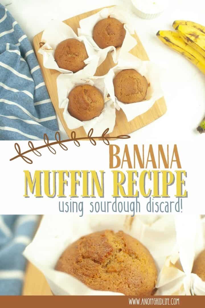 Banana Muffin Recipe Using Sourdough Discard