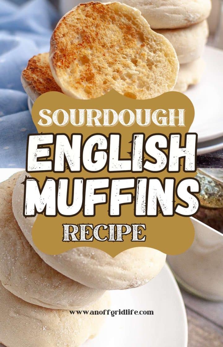 Image of freshly baked sourdough english muffins with a text overlay describing it as a "sourdough english muffins recipe" from www.anoffgridlife.com.