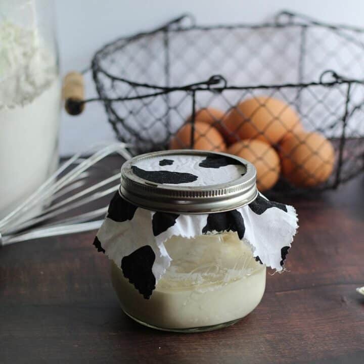 Homemade Amish Style Sourdough Starter in Pretty Jar with Cloth Cover and Ring Lid