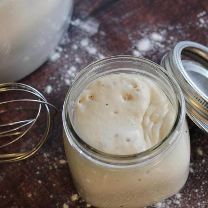 Homemade Sourdough Starter Without Yeast and Ready to Use