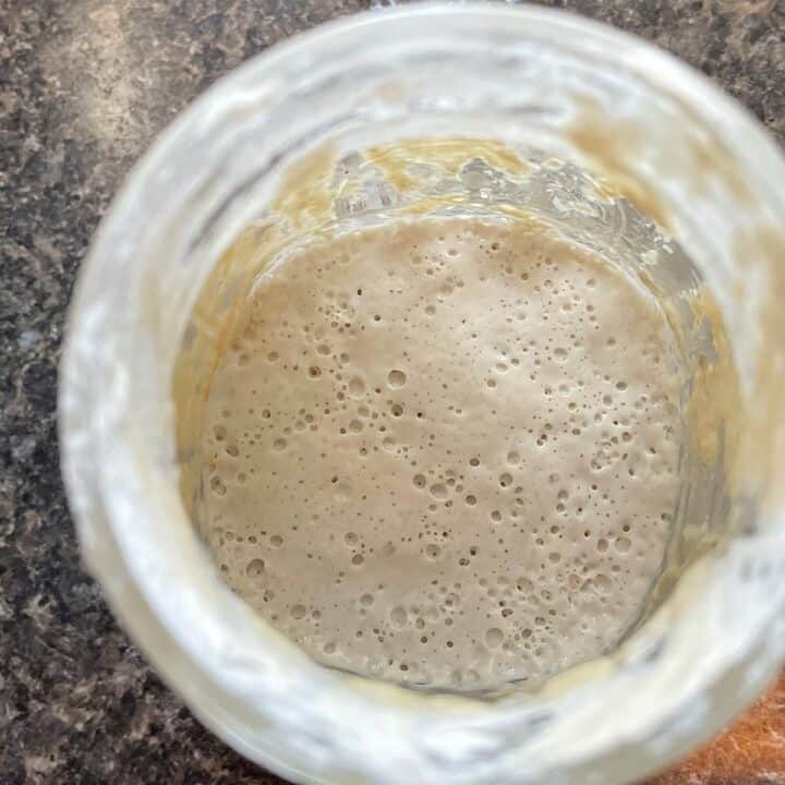 Sourdough Starter Bubbling in Glass Jar