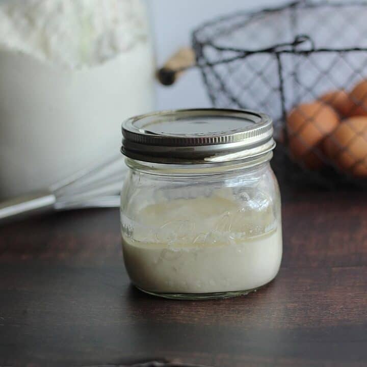 Sourdough Starter From Scratch