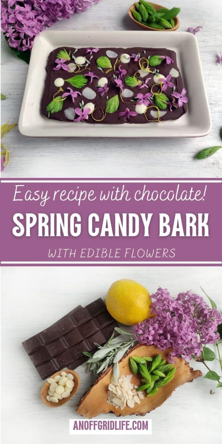 Chocolate bark garnished with flowers and herbs. Spring-themed dessert with chocolate bar, lemon, and lilac flowers displayed nearby. Text: "Easy recipe with chocolate! Spring Candy Bark.