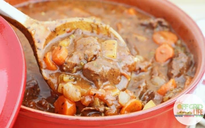 a hearty northern venison stew with a wooden spoon and a red dutch oven pot