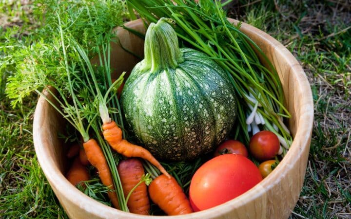 Squash, tomatoes and carrots in wooden bowl.