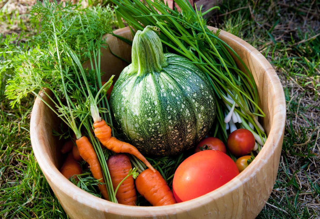 Squash, tomatoes and carrots in wooden bowl.