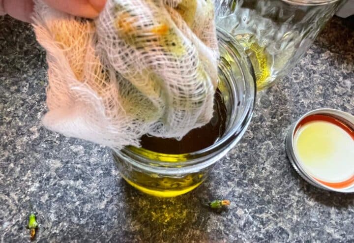 Squeezing the last of the oil with cheesecloth.