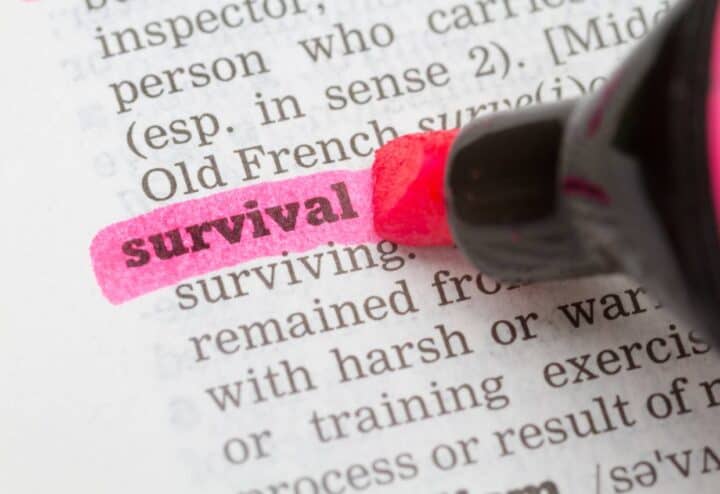 Survival highlighted in a dictionary in pink marker