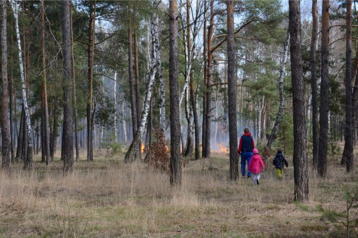 Three people, including two children, walk through a forest with small flames visible among trees in the background.