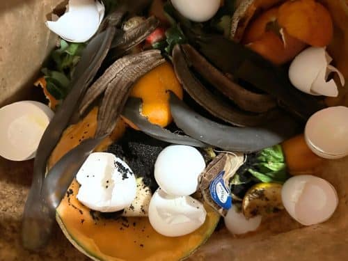 A bag filled with food waste for composting: banana peels, eggshells, orange peels, a paper tag, and other organic material.