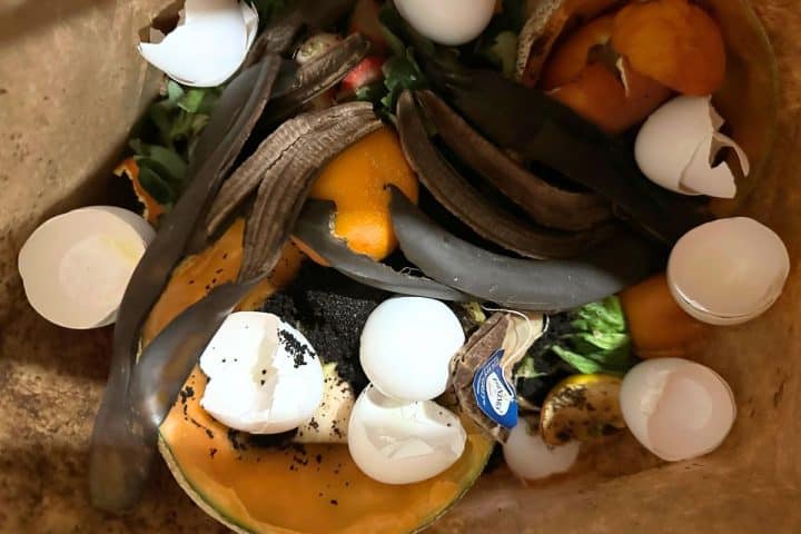 A bag filled with food waste for composting: banana peels, eggshells, orange peels, a paper tag, and other organic material.