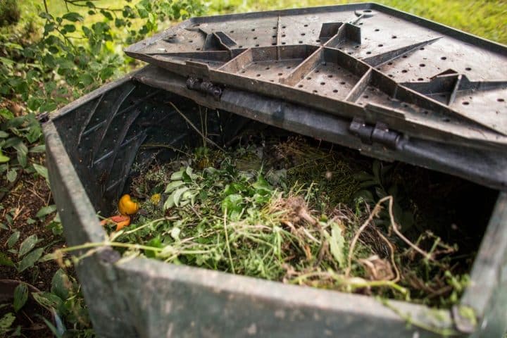 Open compost bin filled with plant material and food scraps, surrounded by greenery.