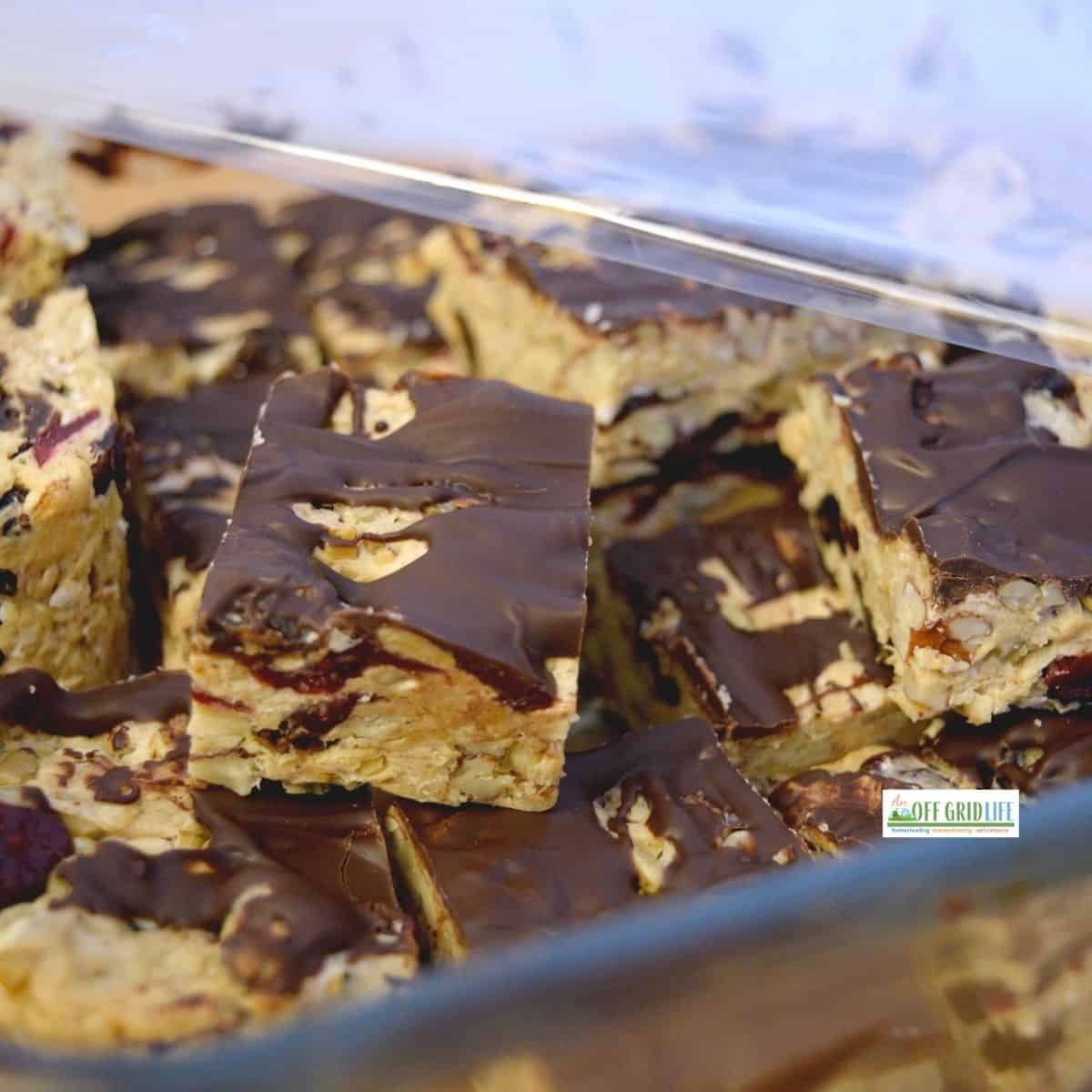 Sliced granola bars topped with a layer of chocolate are arranged in a glass baking dish.