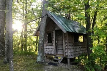 A small wooden cabin with a green metal roof, nestled among trees in a forest. Sunlight filters through the foliage.