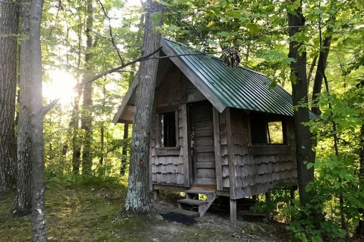 A small wooden cabin with a green metal roof, nestled among trees in a forest. Sunlight filters through the foliage.