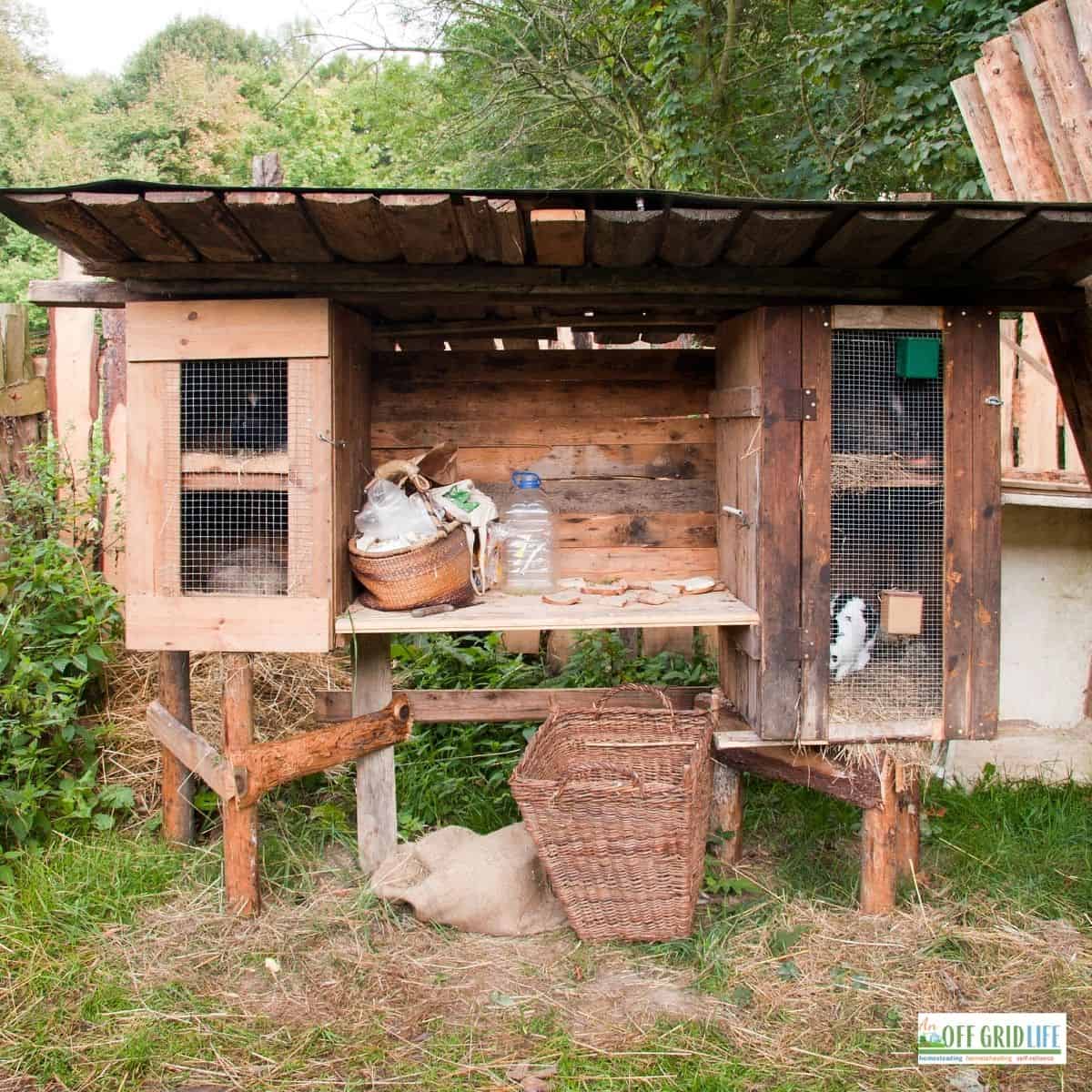 a homemade rabbit hutch on wooden posts with rabbits inside